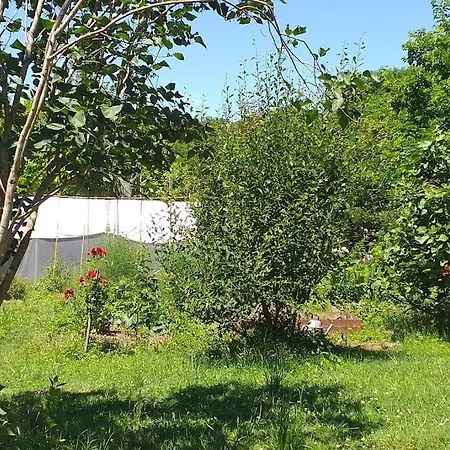 Ancienne Grange Rehabilitee Et Grangette Avec Piscine Et Jardin Holiday home *