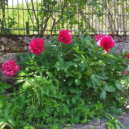 Σπίτι διακοπών Ancienne Grange Rehabilitee Et Grangette Avec Piscine Et Jardin