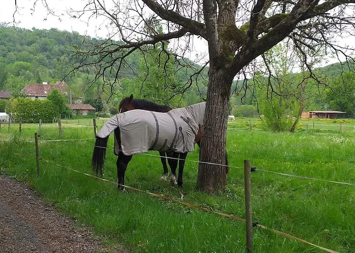 Ancienne Grange Rehabilitee Et Grangette Avec Piscine Et Jardin Holiday home