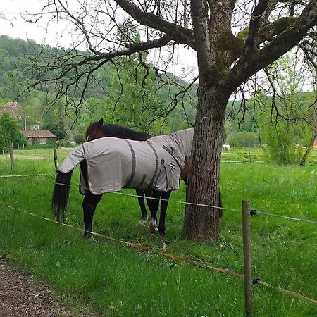Ancienne Grange Rehabilitee Et Grangette Avec Piscine Et Jardin Prázdninový dům