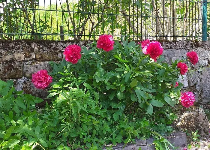 Nyaraló Ancienne Grange Rehabilitee Et Grangette Avec Piscine Et Jardin